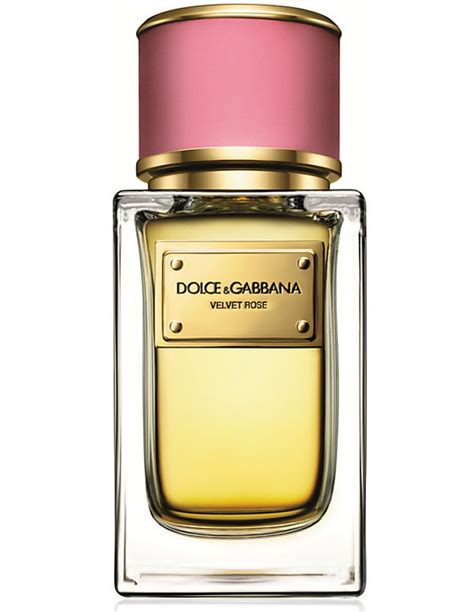 profumo dolce gabbana da donna|dolce gabbana intensio.